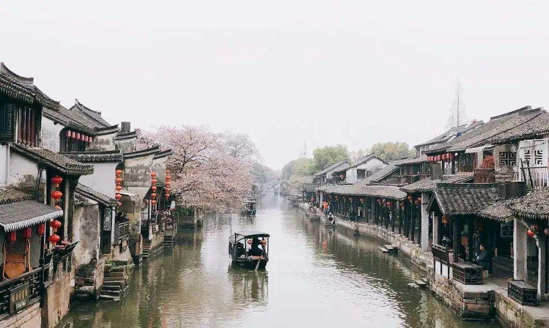 大麦和小麦的区别图片
